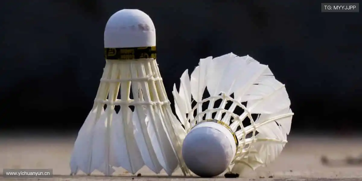 ⚽️点燃热血，巅峰对决！2025 全球足球锦标赛官网，等你来战！🔥🏆